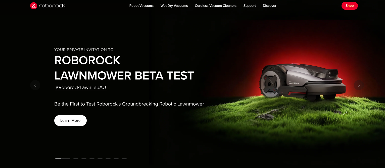 Roborock (tecnología de piedra)